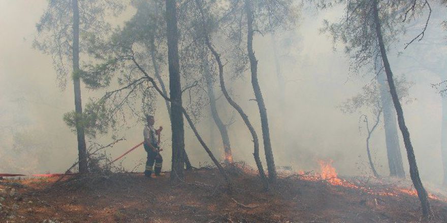 Kumluca’da Orman Yangını
