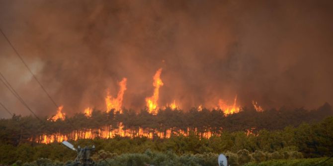 Yaz Geldi Orman Yangınları Başladı