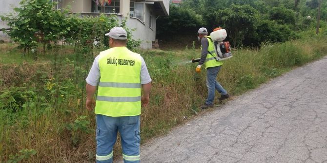 Gülüç Belediyesi Haşere İlaçlaması Yaptı
