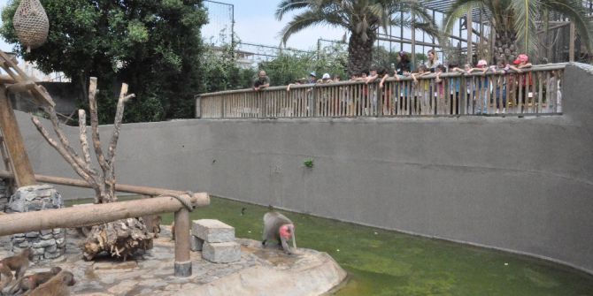 Minikler Yerlere Atılan Çöpleri Topladı