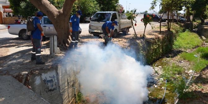 Antalya’da Sinekle Mücadele