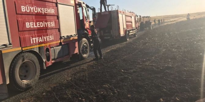 Kızıltepe De Yangın 50 Dönüm Buğdayı Kül Etti