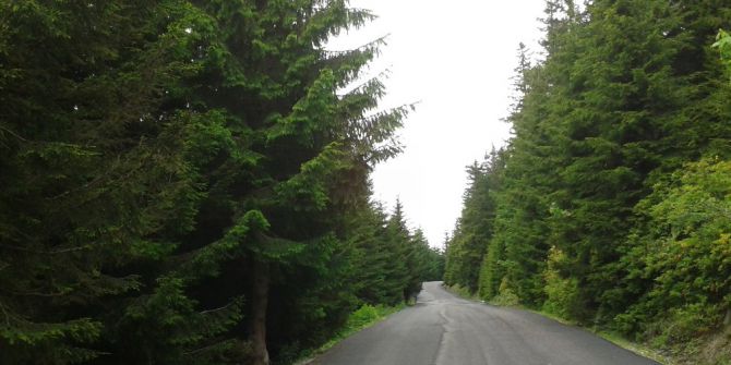 Yayla Yolları Yeşil Yol Projesiyle Birleştirilmeye Devam Ediyor