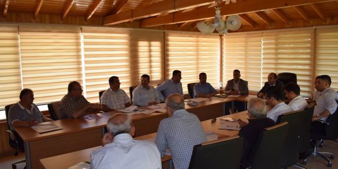 Altınözü İlçesinde Zeytin Ve Zeytinyağı Festivali Yapılacak