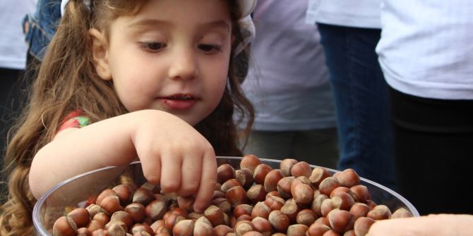 Minik Öğrencilere ‘Fındık’ Anlatıldı
