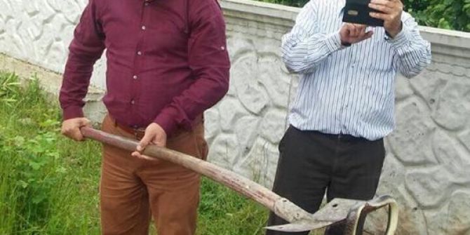 Fatsa’da Öldürülen Yaklaşık 2 Metrelik Yılan Korkuttu