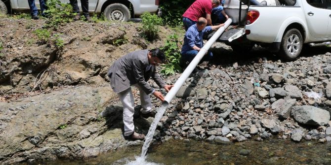 Ordu’nun Derelerine Balık Dayanmıyor