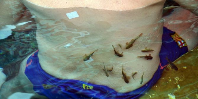 Doktor Balıklar Sırrını Koruyor.