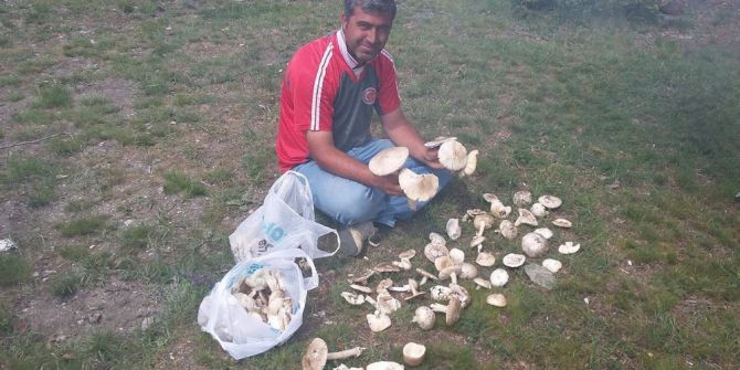 Mantar İftar Sofralarında Yerini Aldı