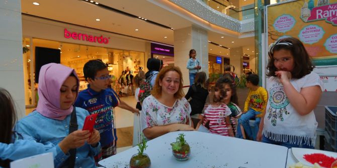 Anneler Ve Çocuklar Teraryumu Çok Sevdi