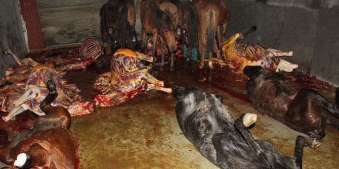 Adana ’At Dürüm’