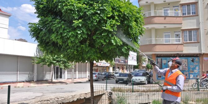 Karasineklere Karşı İlaçlama Çalışması Yapılıyor