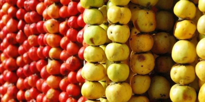 “Alıç Sirkesi İle Kalbinize Dost Olun”