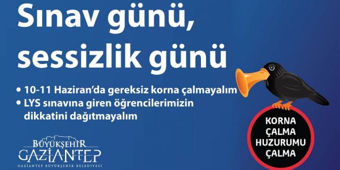 Lys İçin Sessizlik Uyarısı