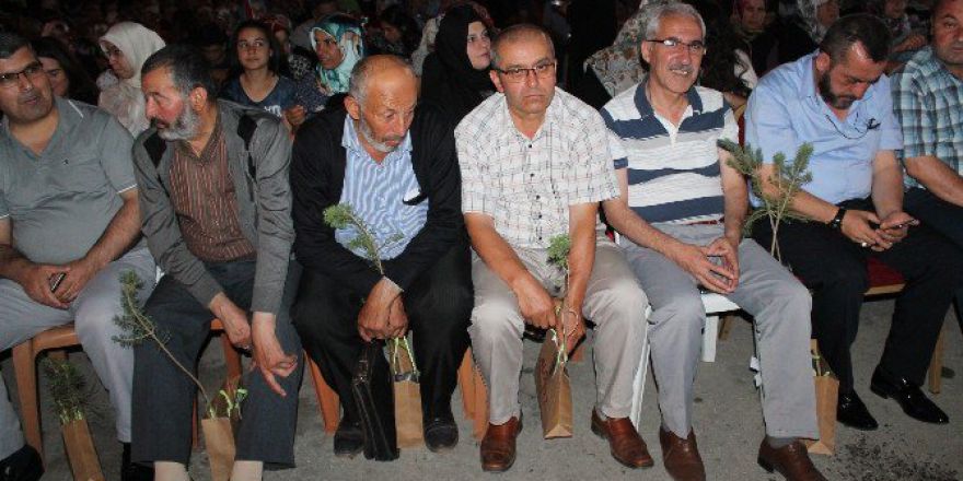 Demokrasi Şehitleri İçin Bin 500 Fidan Dağıtıldı