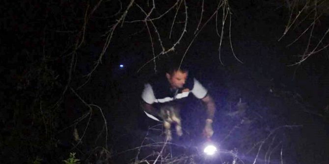 Çaya Düşen Yavru Köpeği İtfaiye Kurtardı