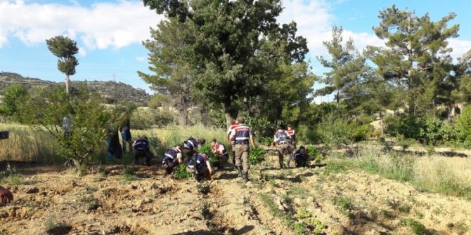 Mersin’de Uyuşturucu Operasyonu