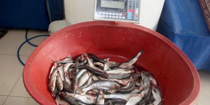 İpekyolu’nda Kaçak Balık Denetimi