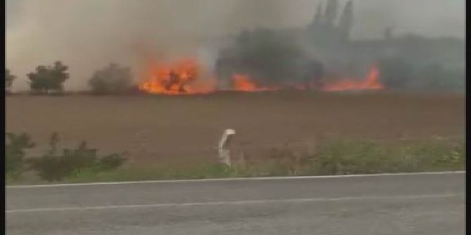 Hasat Edilmeye Hazır Ekin Tarlası Cayır Cayır Yandı