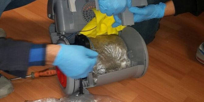 Elektrik Süpürgesinden Bonzai Çıktı