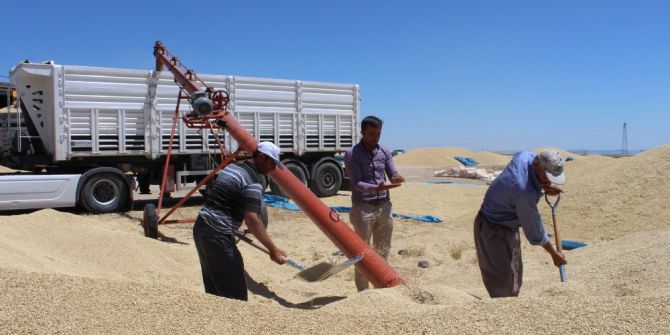 Verimli Hasat Hem Çiftçiyi Hem De Esnafı Mutlu Etti