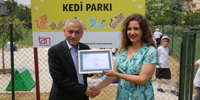Nilüfer’in İlk Kedi Parkı Öğrencilerin Desteğiyle Açıldı
