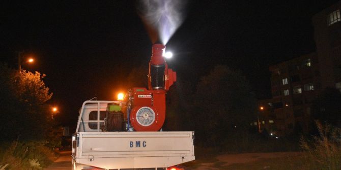 Sivrisinek Ve Haşeresiz Bir Nazilli İçin İlaçlamalar Başladı