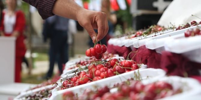 En İyi Kiraz Heyecanı