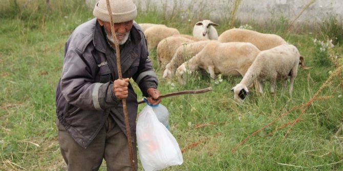 87 Yaşındaki Yaşlı Adam Çobanlığı Keyifle Yapıyor