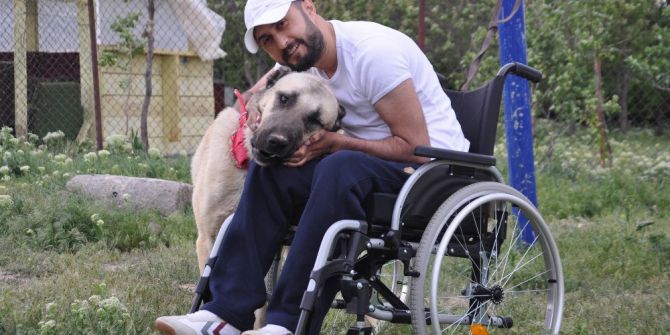 Kangal Köpeği Hayata Tutundurdu