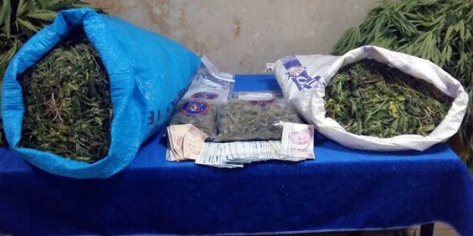 Elazığ’da 22 Kilo Esrar İle 46 Bin Kök Kenevir Ele Geçirildi