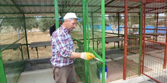 Burhaniye’de Köpek Barınağı Genişletiliyor