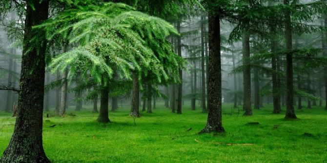 Eski Kitaplar Geri Dönüşüme