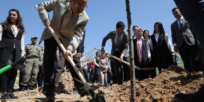 Ramazanın Sıcağında Ağaçlara Can Verdi