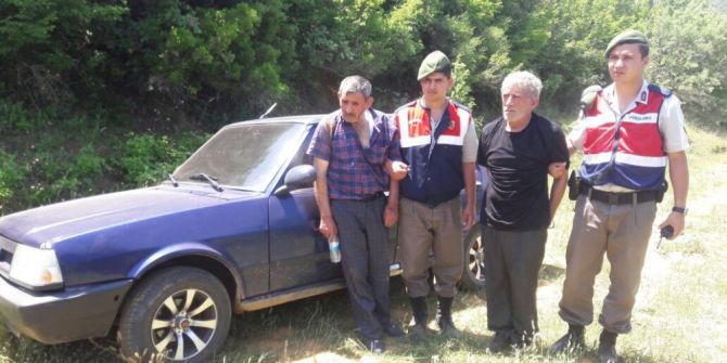Kuzuları Çalmak İsteyen 2 Şahsı Jandarma Yakaladı