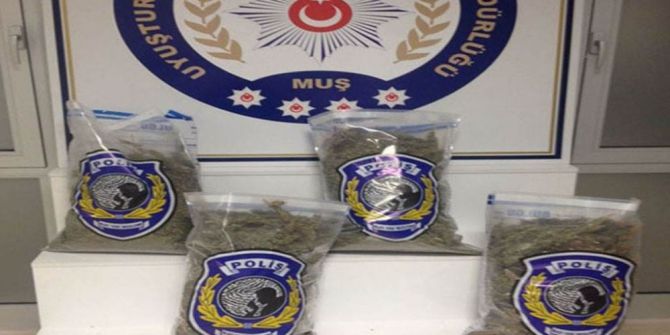 Muş’ta Uyuşturucu Ve Asayiş Operasyonları