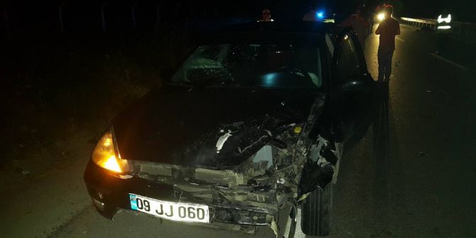 Söke’de Yola Fırlayan Domuz Kazaya Neden Oldu