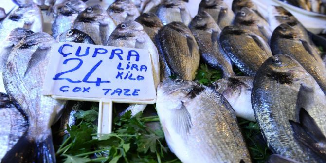 Ramazanda Balıkçılar Sinek Avlıyor