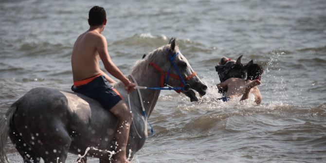 At Sırtında Deniz Keyfi