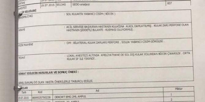 Kulağına Giren Sinek Hayatını Kararttı