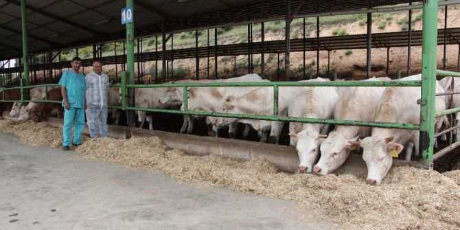 Etçi Irka 10 Milyon Dolarlık Yatırım