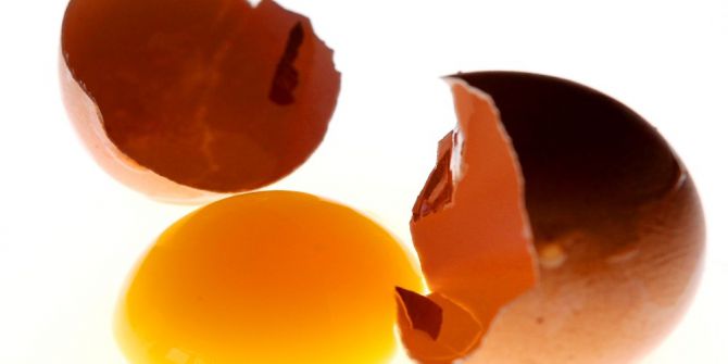 Her Gün Bir Yumurta Çocuk Gelişimine Katkı Sağlıyor