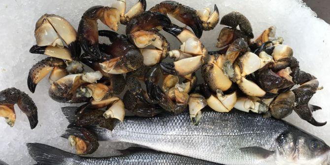 Bir Kilo Yengeç Bacağı 10 Tl