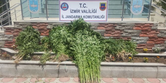 İzmir’de Uyuşturucu Operasyonu: 5 Gözaltı