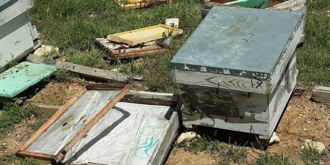 Sarıveliler’de Ayı, Arı Kovanlarına Zarar Verdi
