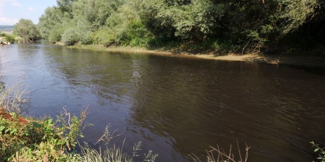 Kocasu Deresi Mercek Altında