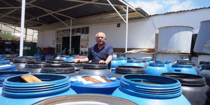 Üzüm Bağından Salamuraya