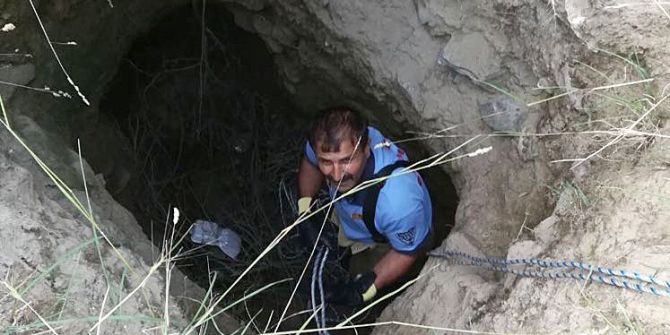 Define İçin Kazılan Çukura Düşen Kaplumbağayı İtfaiye Kurtardı