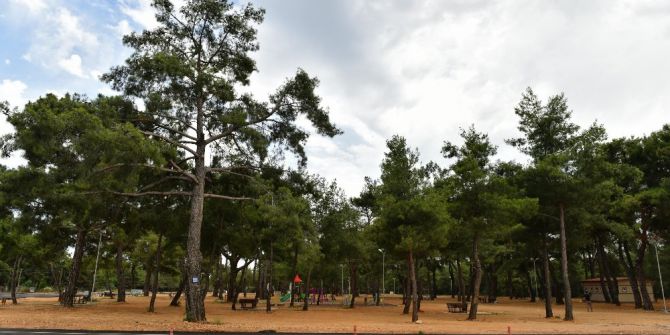 Kepez’de Kirişçiler Mesire Alanı Hizmette