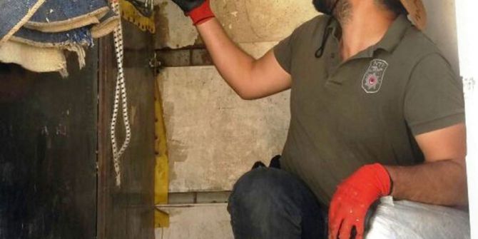 Yarış Atı Taşıyan Araçtan Uyuşturucu Çıktı